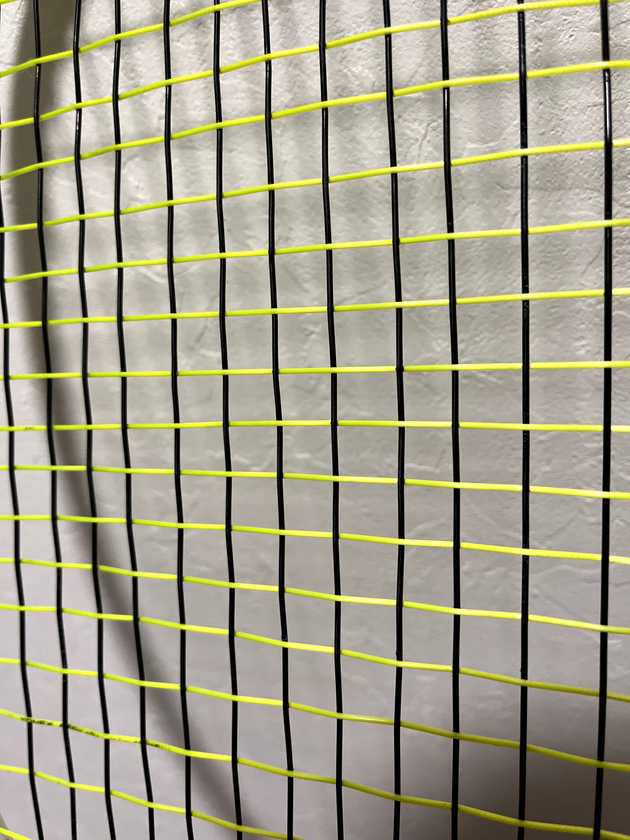 tecnifibre biphase5
