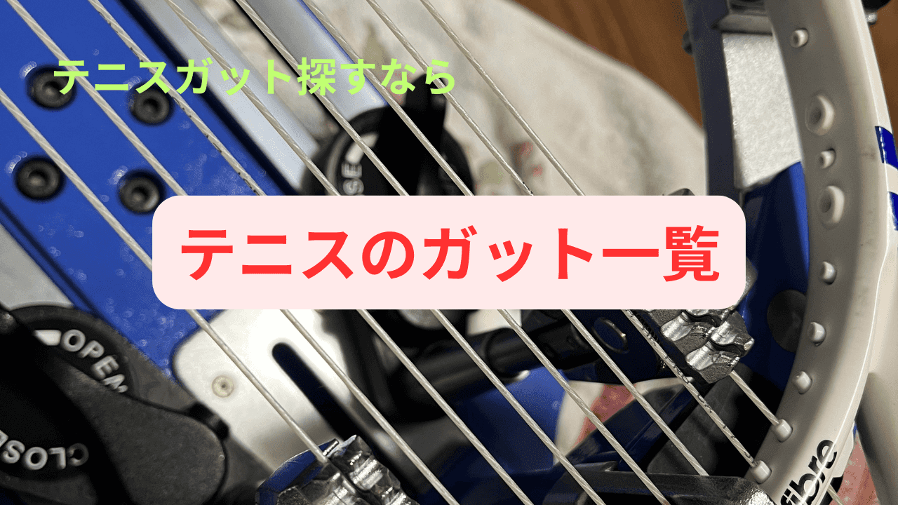 テニスのガット（ストリング）を見やすく一覧にまとめました