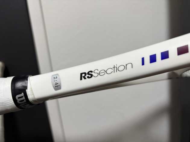 rs section